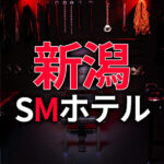 新潟のSMホテル