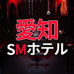 愛知・名古屋のSMホテル
