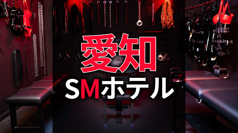愛知・名古屋のSMホテル