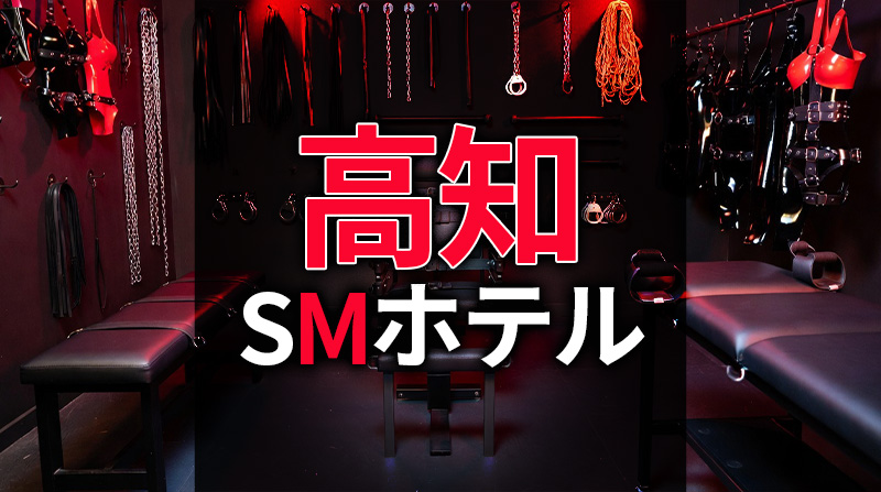 高知のSMホテル