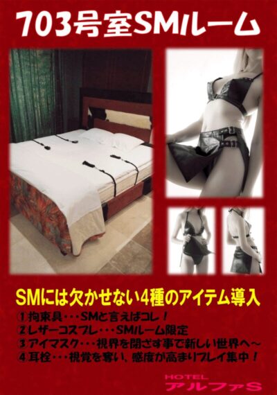 ホテル アルファSのSMルーム