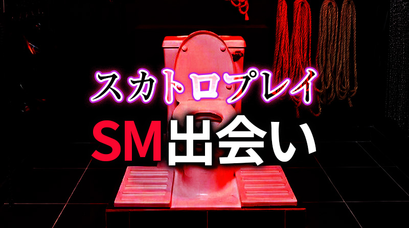 スカトロプレイを安全・濃厚に楽しむためのSM出会い完全ガイド