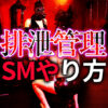 排泄管理 SMプレイのやり方｜初心者からマニアまで安全に楽しむ完全ガイド