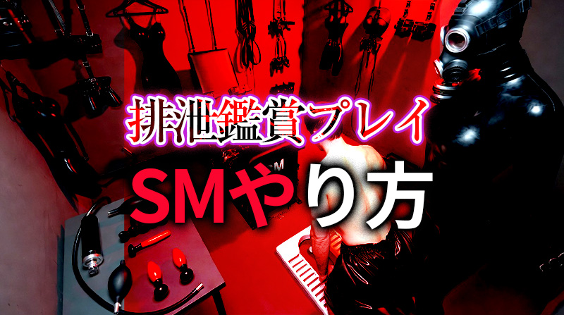 排泄鑑賞プレイの完全ガイド｜SMカップルが味わう究極の羞恥と興奮