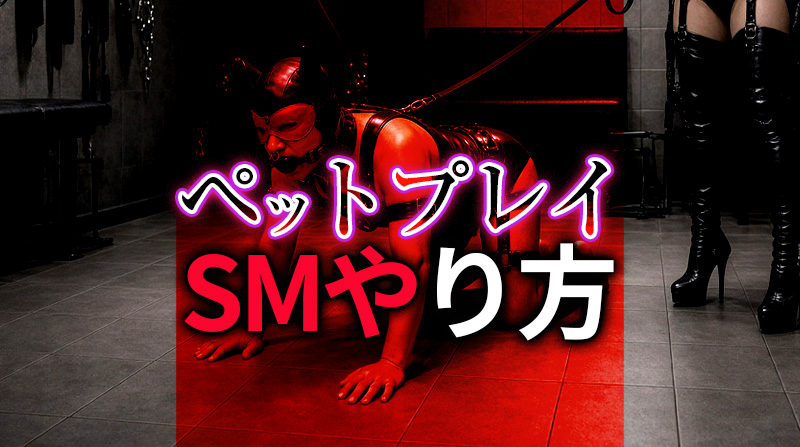 ペットプレイ SMのやり方完全ガイド｜可愛さと羞恥を極める調教方法