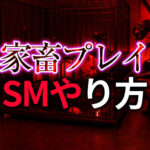 家畜プレイ SMのやり方完全ガイド｜究極の服従と羞恥を極める方法