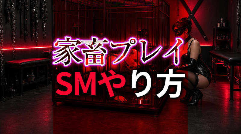 家畜プレイ SMのやり方完全ガイド｜究極の服従と羞恥を極める方法